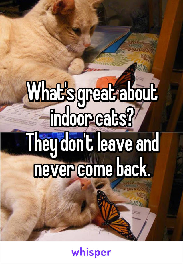 What's great about indoor cats?
They don't leave and never come back.