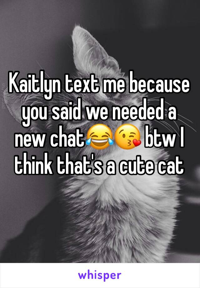 Kaitlyn text me because you said we needed a new chat😂😘 btw I think that's a cute cat