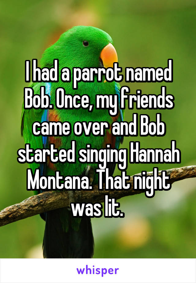 I had a parrot named Bob. Once, my friends came over and Bob started singing Hannah Montana. That night was lit. 