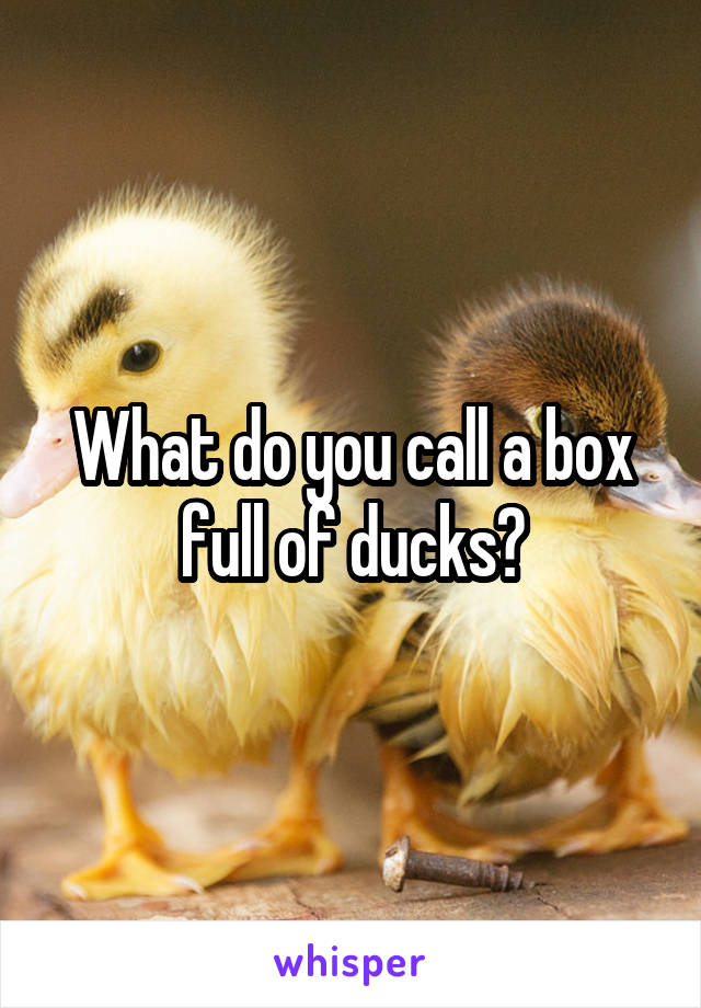 What do you call a box full of ducks?