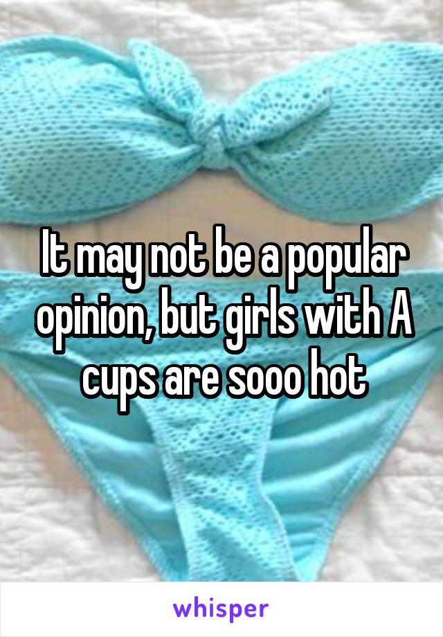 It may not be a popular opinion, but girls with A cups are sooo hot