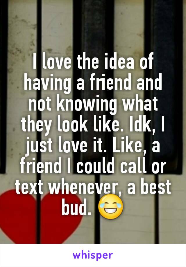 I love the idea of having a friend and not knowing what they look like. Idk, I just love it. Like, a friend I could call or text whenever, a best bud. 😂