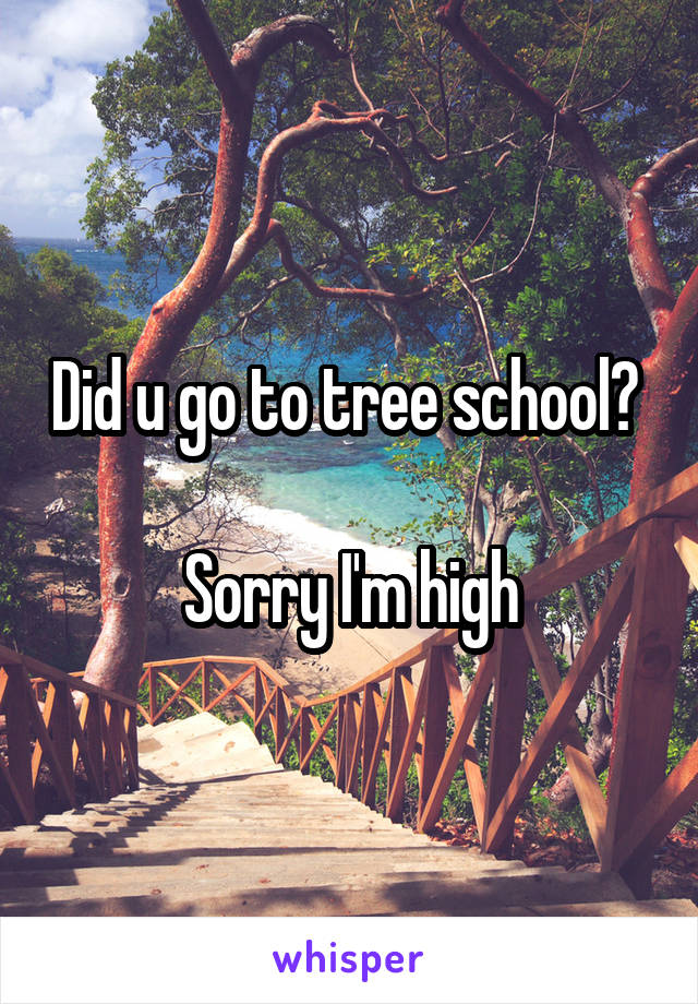 Did u go to tree school? 

Sorry I'm high