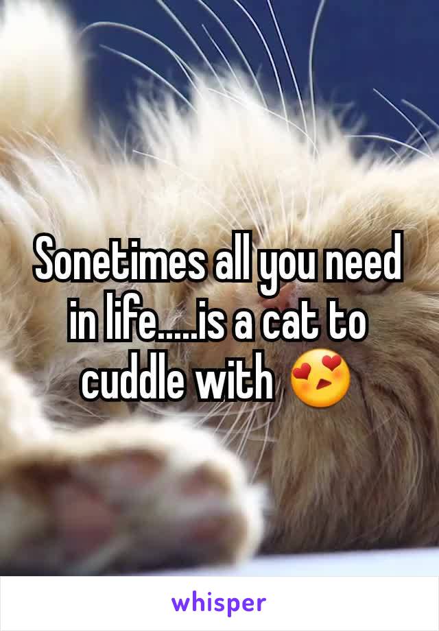 Sonetimes all you need in life.....is a cat to cuddle with 😍