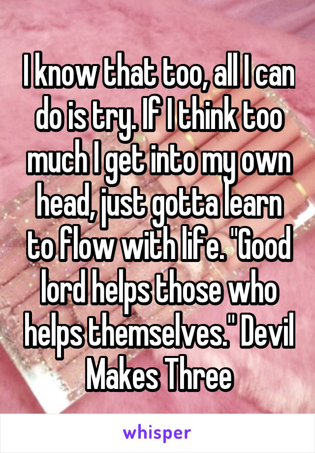 I know that too, all I can do is try. If I think too much I get into my own head, just gotta learn to flow with life. "Good lord helps those who helps themselves." Devil Makes Three