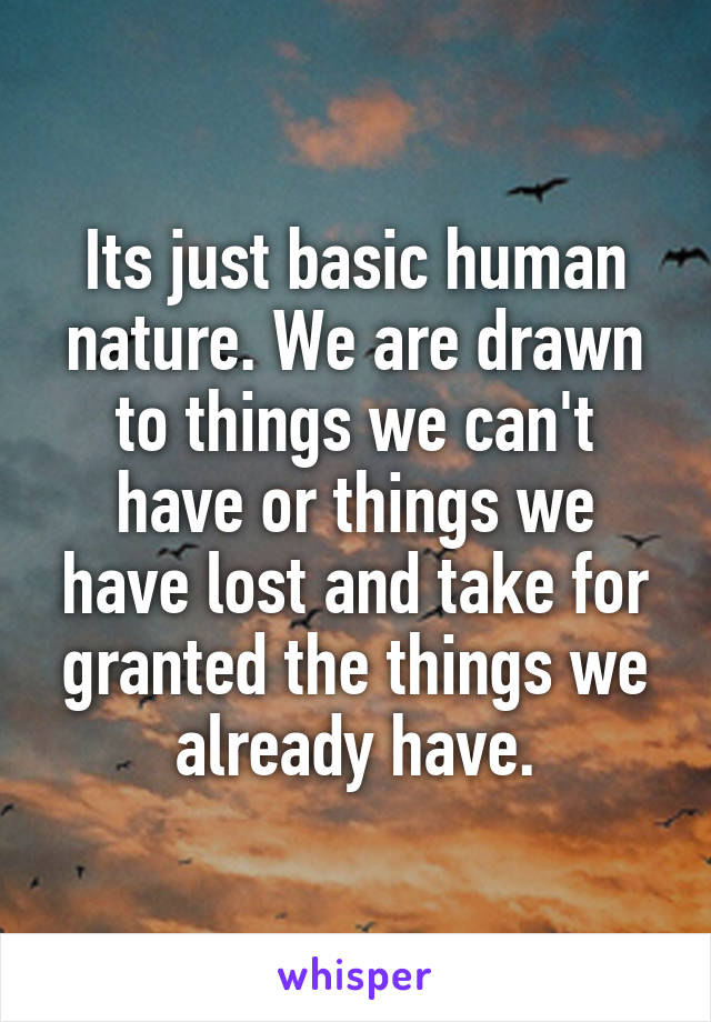 Its just basic human nature. We are drawn to things we can't have or things we have lost and take for granted the things we already have.