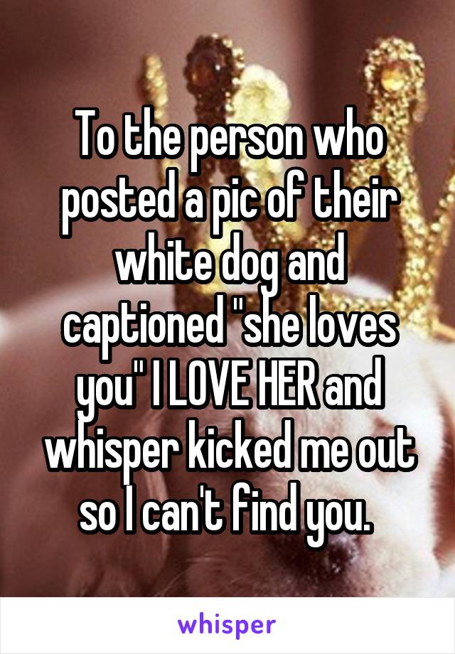 To the person who posted a pic of their white dog and captioned "she loves you" I LOVE HER and whisper kicked me out so I can't find you. 