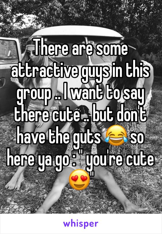 There are some attractive guys in this group .. I want to say there cute .. but don't have the guts 😂 so here ya go : " you're cute 😍" 