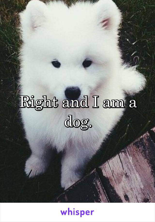 Right and I am a dog.