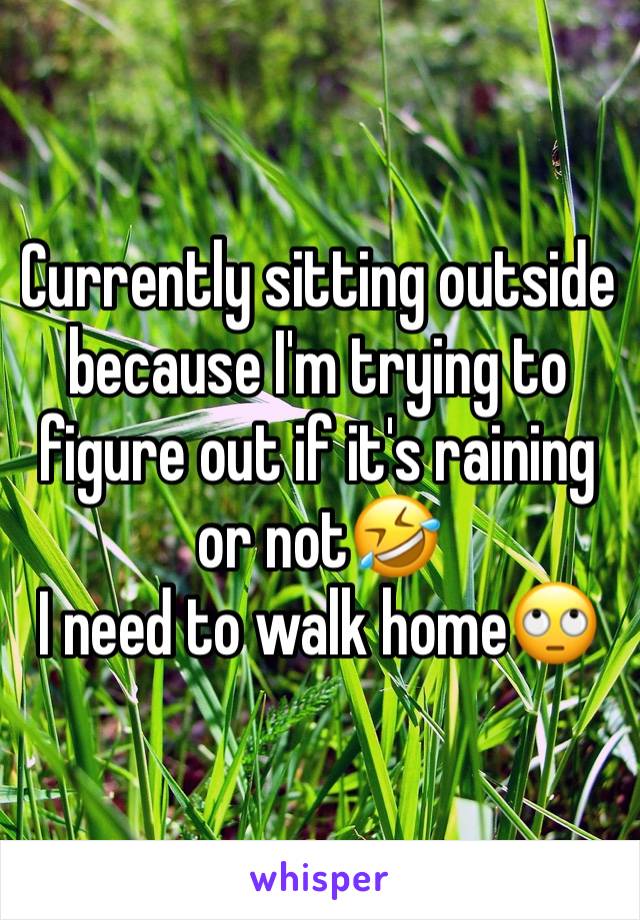 Currently sitting outside because I'm trying to figure out if it's raining or not🤣
I need to walk home🙄