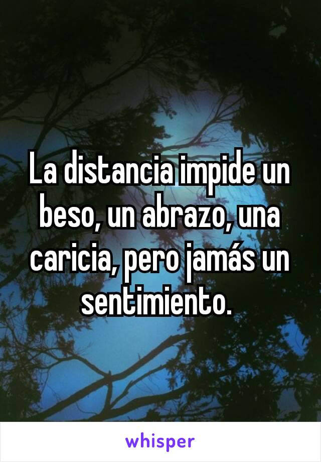 La distancia impide un beso, un abrazo, una caricia, pero jamás un sentimiento. 