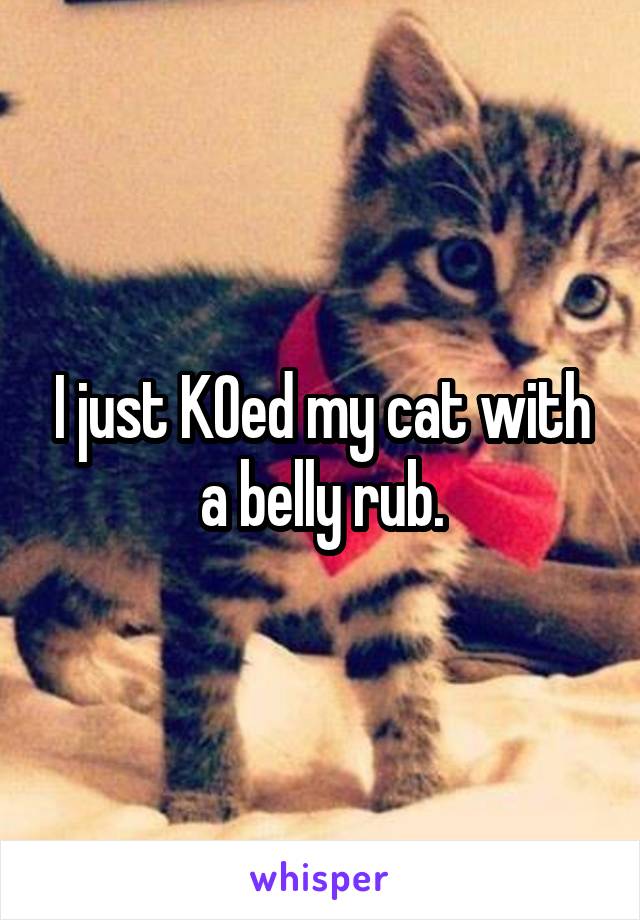 I just KOed my cat with a belly rub.