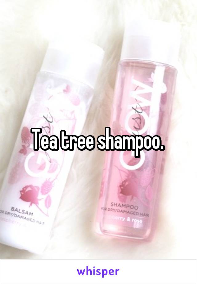 Tea tree shampoo. 