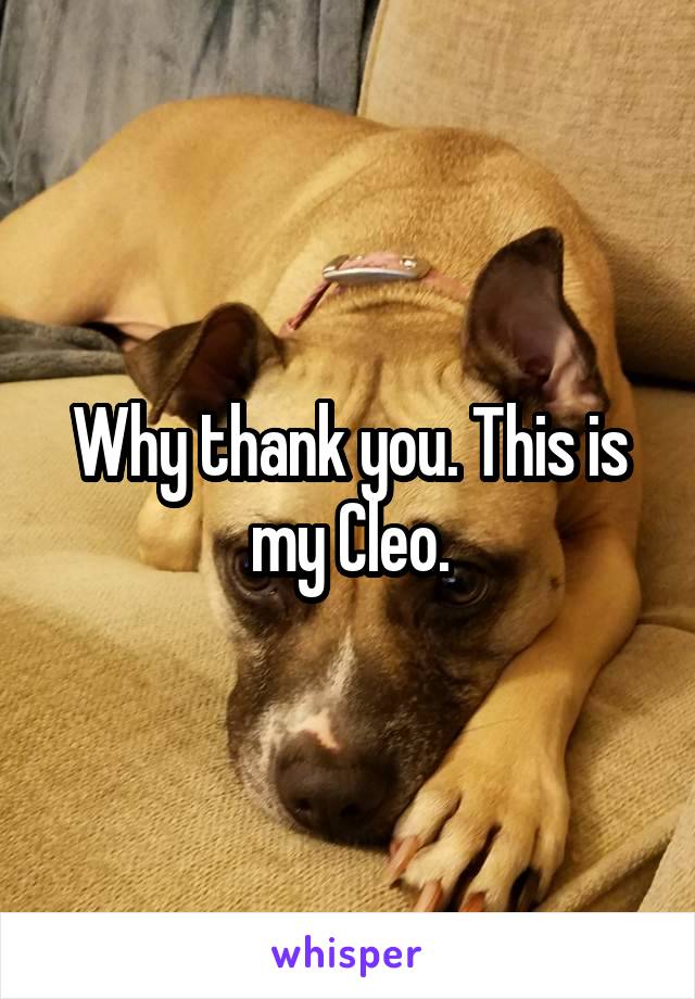 Why thank you. This is my Cleo.