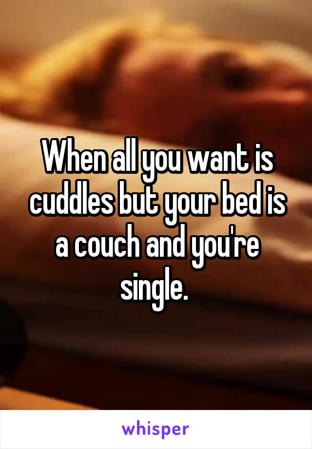 When all you want is cuddles but your bed is a couch and you're single. 