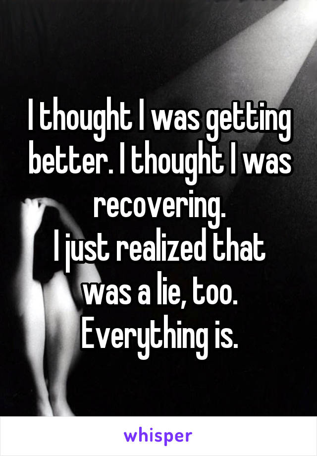 I thought I was getting better. I thought I was recovering.
I just realized that was a lie, too.
Everything is.