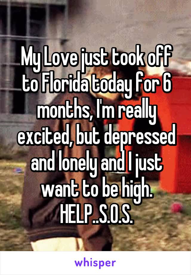 My Love just took off to Florida today for 6 months, I'm really excited, but depressed and lonely and I just want to be high. HELP..S.O.S.