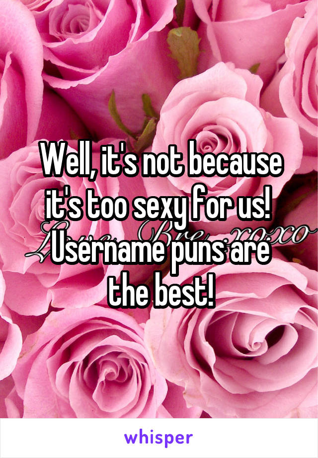 Well, it's not because it's too sexy for us! 
Username puns are the best!