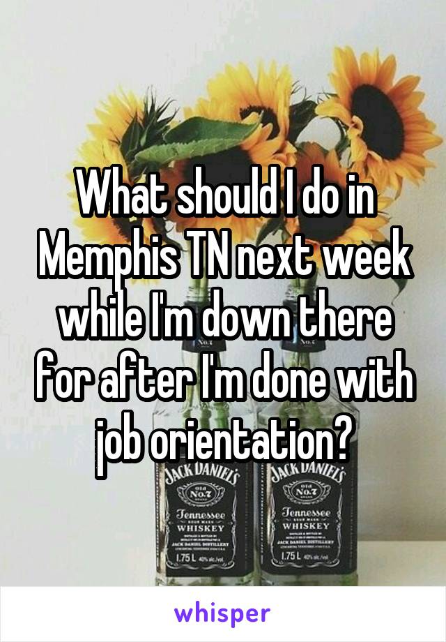 What should I do in Memphis TN next week while I'm down there for after I'm done with job orientation?