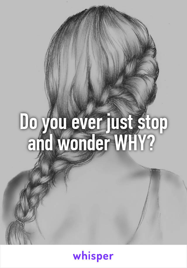 Do you ever just stop and wonder WHY? 