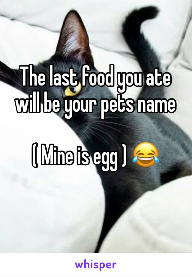 The last food you ate will be your pets name

( Mine is egg ) 😂