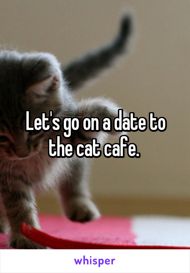 Let's go on a date to the cat cafe. 