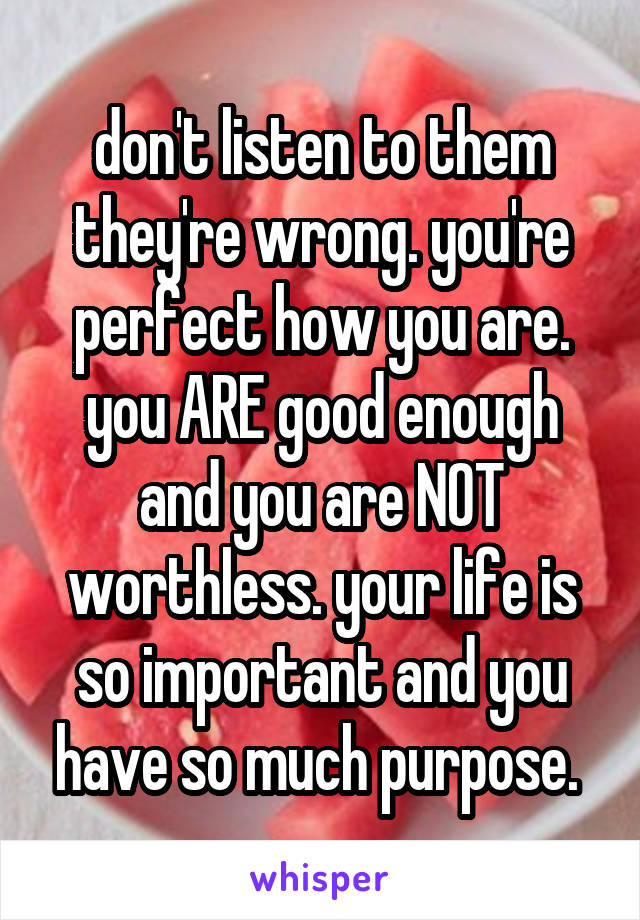 don't listen to them they're wrong. you're perfect how you are. you ARE good enough and you are NOT worthless. your life is so important and you have so much purpose. 