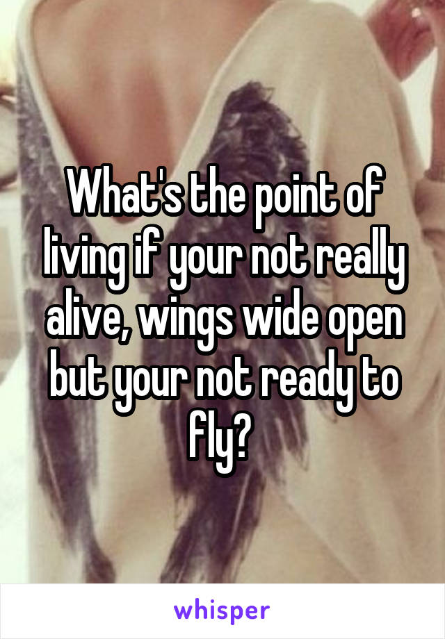 What's the point of living if your not really alive, wings wide open but your not ready to fly? 