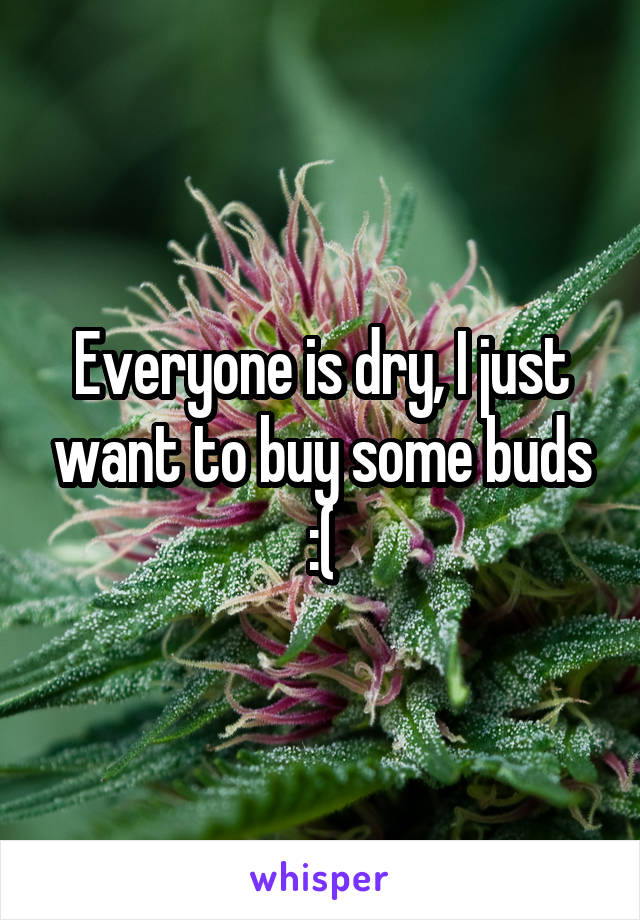 Everyone is dry, I just want to buy some buds :(