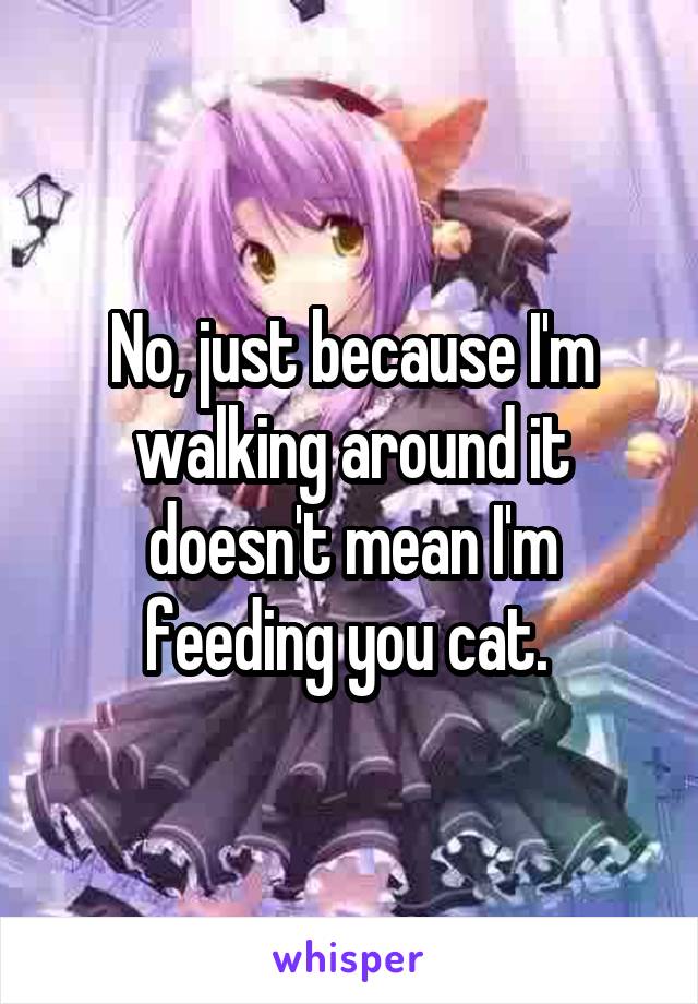 No, just because I'm walking around it doesn't mean I'm feeding you cat. 