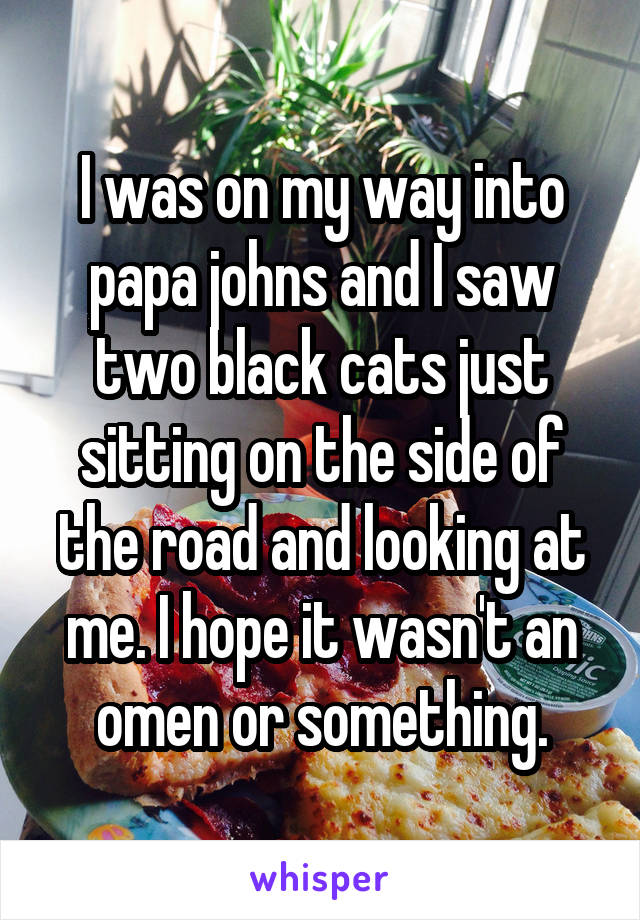 I was on my way into papa johns and I saw two black cats just sitting on the side of the road and looking at me. I hope it wasn't an omen or something.