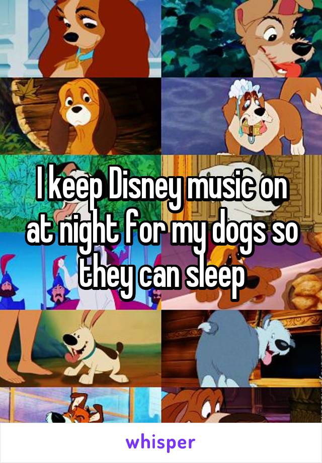 I keep Disney music on at night for my dogs so they can sleep