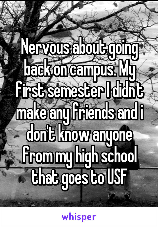 Nervous about going back on campus. My first semester I didn't make any friends and i don't know anyone from my high school that goes to USF