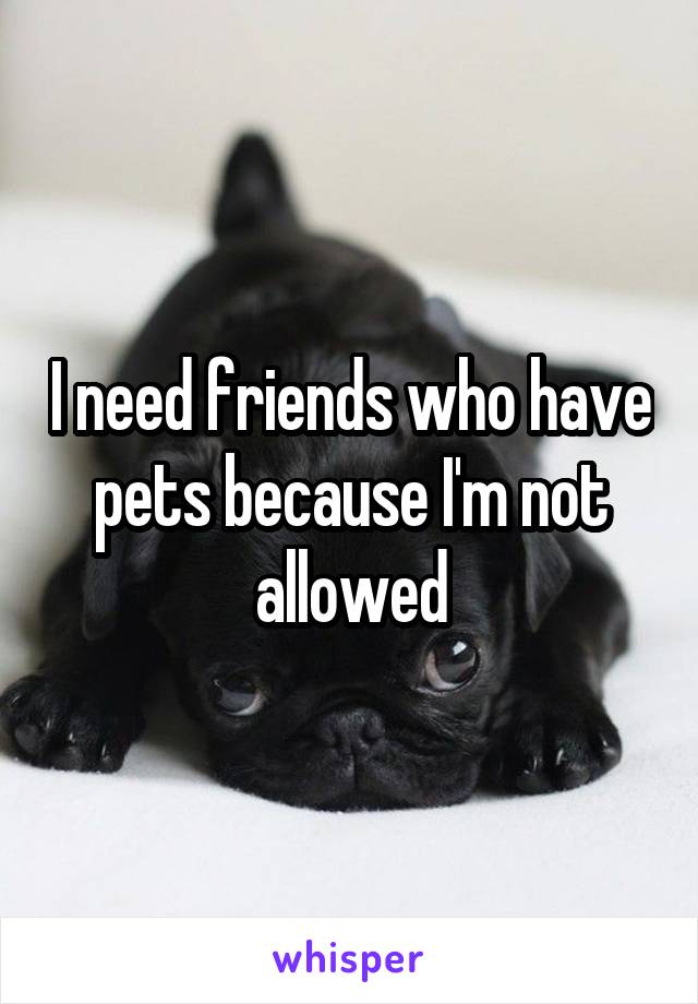 I need friends who have pets because I'm not allowed