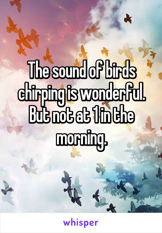 The sound of birds chirping is wonderful. But not at 1 in the morning.
