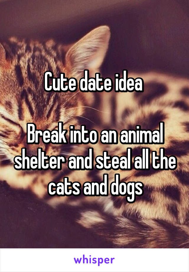 Cute date idea 

Break into an animal shelter and steal all the cats and dogs