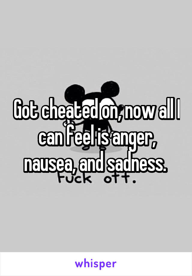 Got cheated on, now all I can feel is anger, nausea, and sadness. 