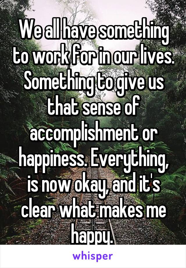 We all have something to work for in our lives. Something to give us that sense of accomplishment or happiness. Everything, is now okay, and it's clear what makes me happy. 