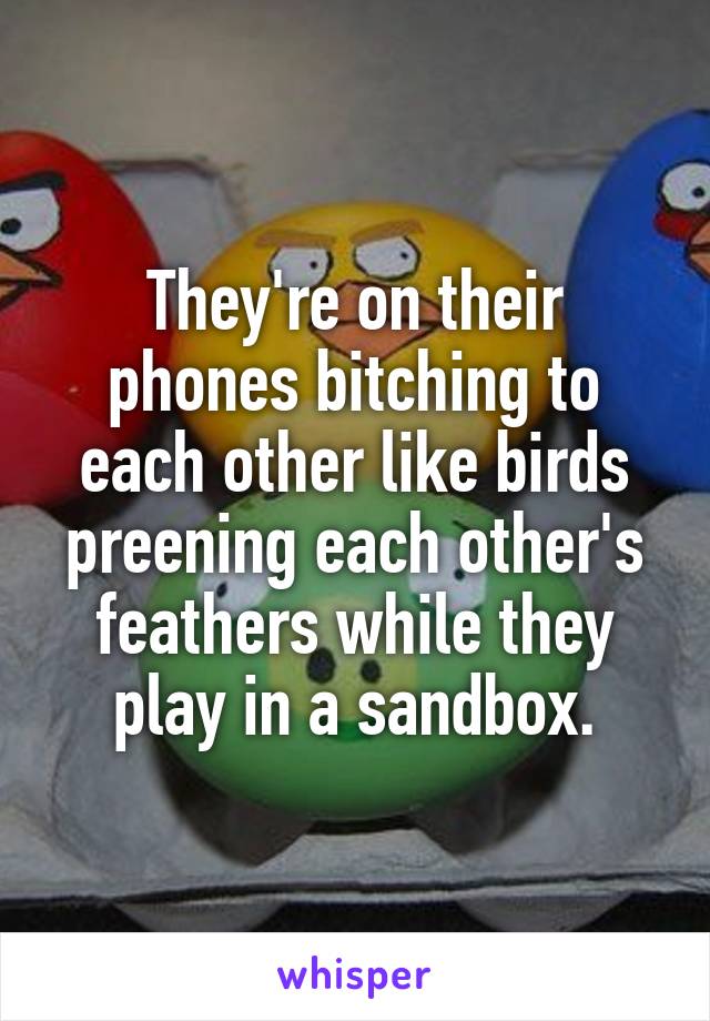 They're on their phones bitching to each other like birds preening each other's feathers while they play in a sandbox.