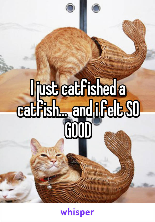 I just catfished a catfish...  and i felt SO GOOD