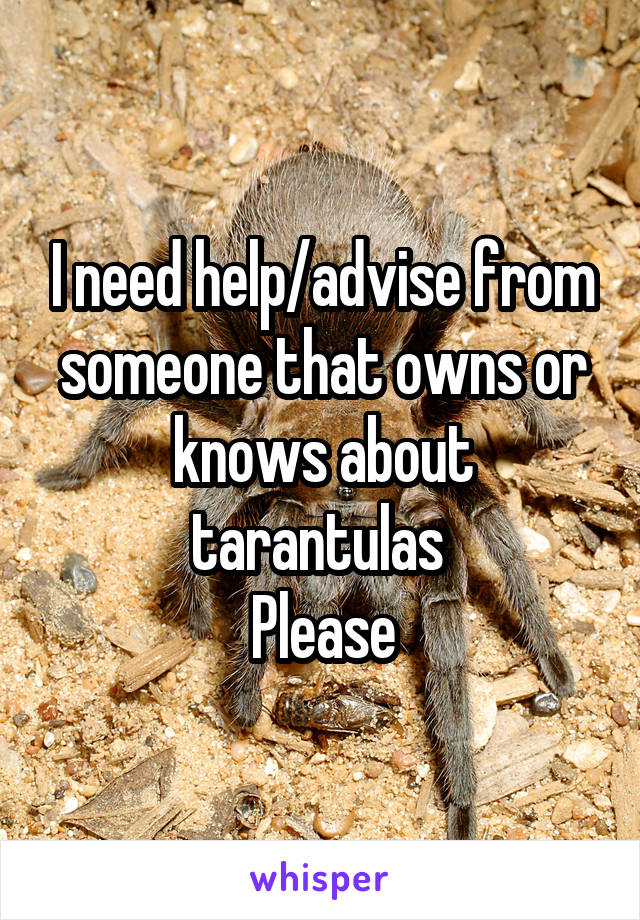 I need help/advise from someone that owns or knows about tarantulas 
Please