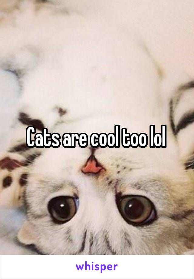 Cats are cool too lol 