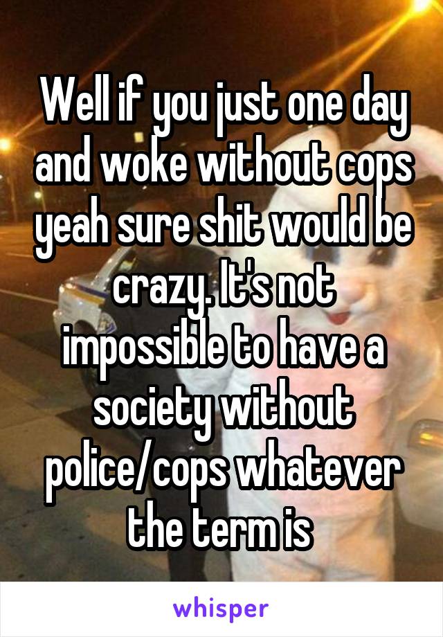 Well if you just one day and woke without cops yeah sure shit would be crazy. It's not impossible to have a society without police/cops whatever the term is 