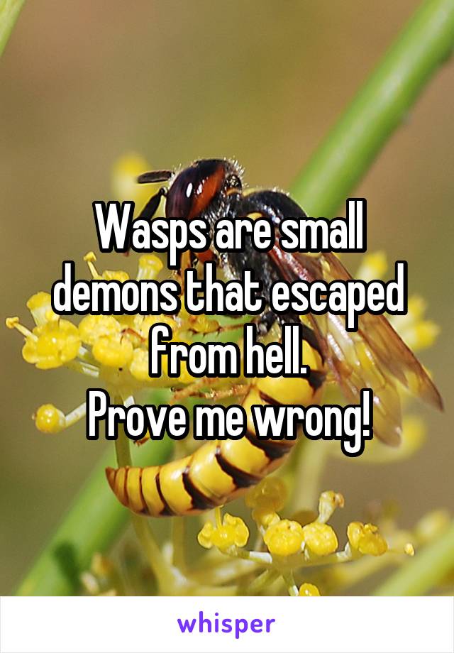 Wasps are small demons that escaped from hell.
Prove me wrong!