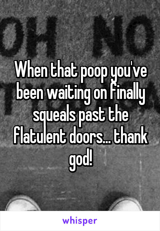 When that poop you've been waiting on finally squeals past the flatulent doors... thank god!