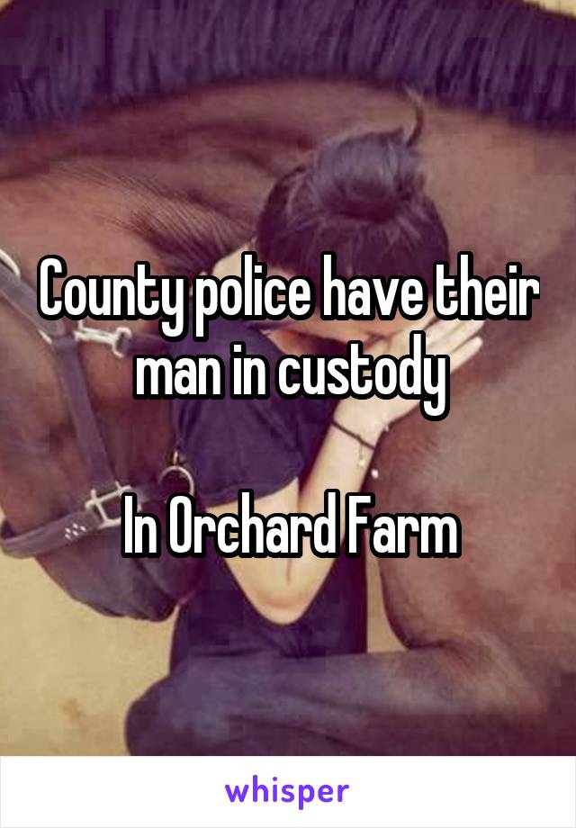 County police have their man in custody

In Orchard Farm