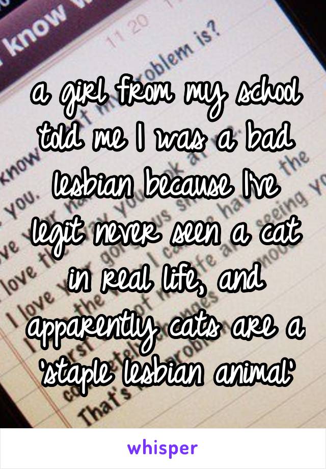 a girl from my school told me I was a bad lesbian because I've legit never seen a cat in real life, and apparently cats are a 'staple lesbian animal'