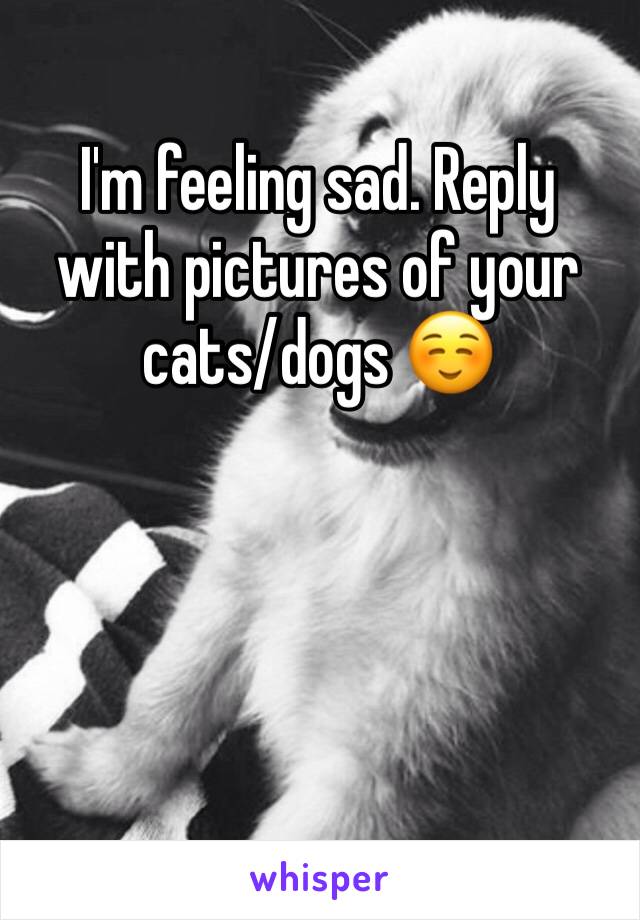 I'm feeling sad. Reply with pictures of your cats/dogs ☺️