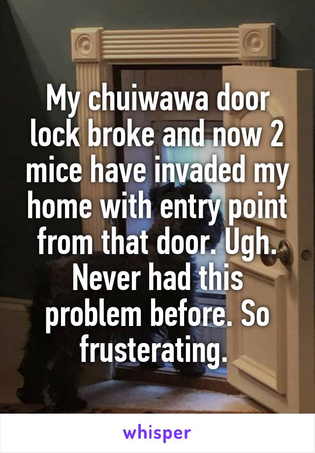 My chuiwawa door lock broke and now 2 mice have invaded my home with entry point from that door. Ugh. Never had this problem before. So frusterating. 