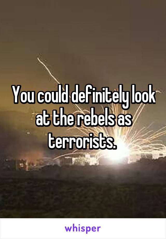 You could definitely look at the rebels as terrorists. 